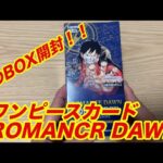 【ワンピースカード】初のBOX開封！！ロマンスドーンを開けてみた！！