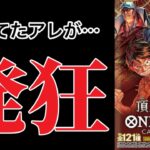 【ワンピースカード】遂に開封！！初開封の結果は…！？