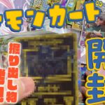 掘り出し物発見！？ポケモンカード引退品開封