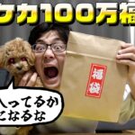 新年1発目に購入した100万福袋がよくわからない結果に！？【ポケカ】