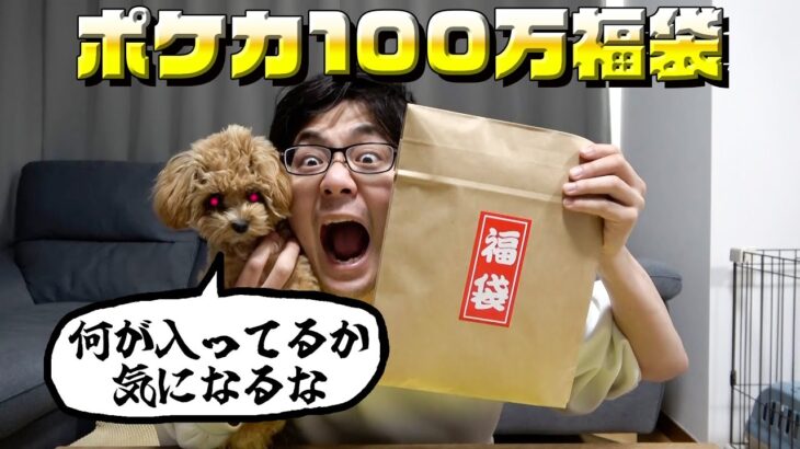 新年1発目に購入した100万福袋がよくわからない結果に！？【ポケカ】