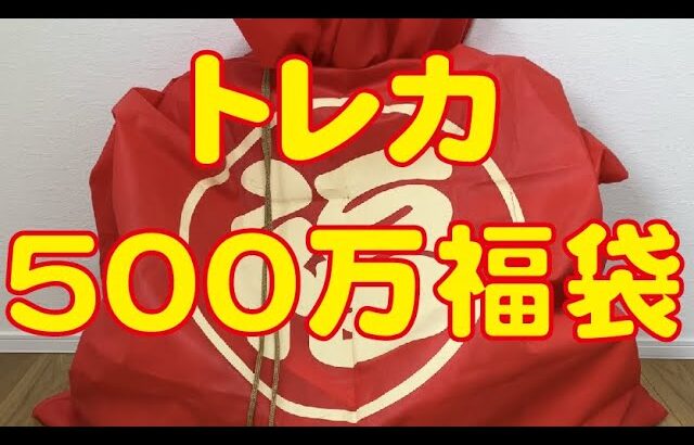 【トレカ投資】2023年福袋形式で500万円袋？を開封！！高騰しそうなポケカ、遊戯王、ワンピースカードを買いまくる！