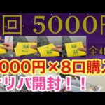 【ワンピースカード】トレカ道楽 池袋店のオリパを40,000円分開封！結果はいかに！？