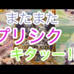 サイバーストームアクセス5箱目開封‼︎あのプリシク到来で感情爆発‼︎【遊戯王開封】