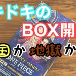 【ワンピースカード】ロマンスドーンBOX開封！ドキドキの開封結果を是非見て下さい！