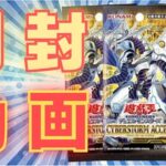 【遊戯王】新弾「サイバーストームアクセス（CYBERSTORM ACCESS）」３BOX開封！【開封動画】