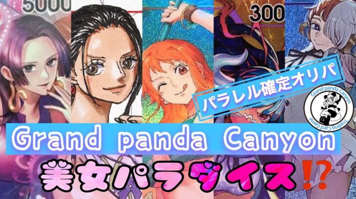 Grand panda Canyon通販　パラレル確定オリパ開封！！美女パラダイス！？