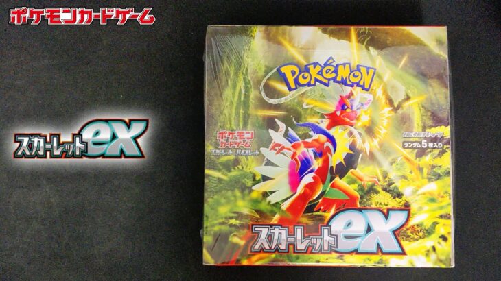 【SAR出てほしい】スカーレットex 1BOX開封【ポケモンカード開封】