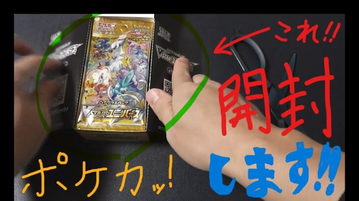 【ポケカ】家族でポケモンカード、VSTAR ユニバース開封 2 わいわいがやがや・・うるさかったらごめんなさい！