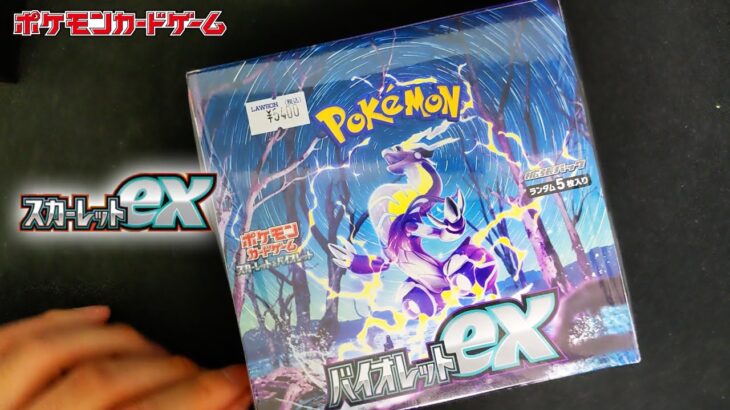 【神引き!?】バイオレットex 1BOX開封【ポケモンカード開封】