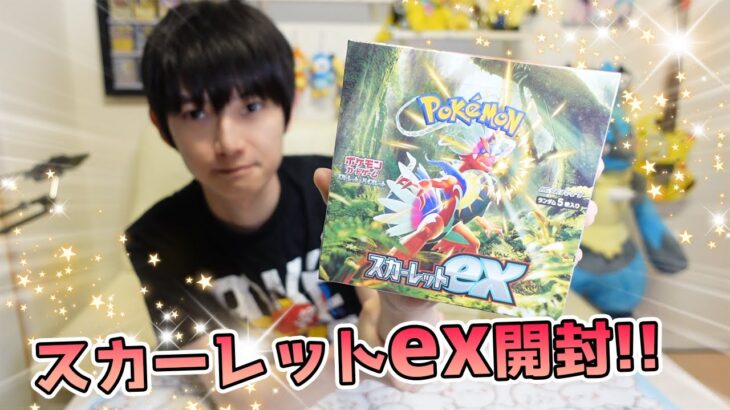 【ポケカ】新弾開封！スカーレットex【本郷奏多の日常】