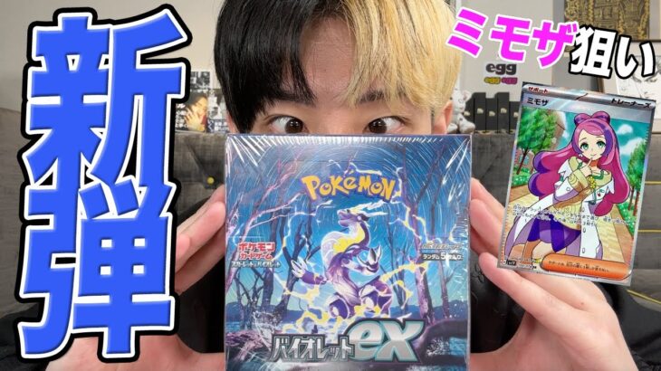 【ポケカ】新弾発売日にバイオレットexをボックス開封してみた