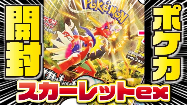 【新弾】スカーレットex BOX開封【ポケモンカード】#ポケモンカード#ポケモン