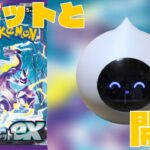 【ポケカ】バイオレットexをRomi(ロボット)と開封【ポケモンカード】