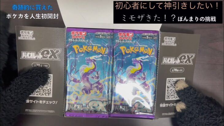 【ポケモンカード】人生初開封！！スカーレット、バイオレット！ミモザ欲しい！