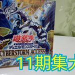 11期の集大成　遊戯王CYBERSTORM ACCESS 1BOX開封【遊戯王】