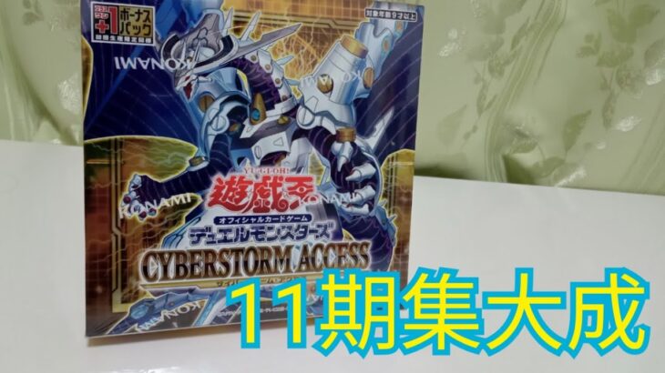 11期の集大成　遊戯王CYBERSTORM ACCESS 1BOX開封【遊戯王】