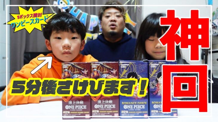 【ワンピースカード】えにしが叫んだ！！！入手困難1ボックス24パック開封したら本物が当たりました！【神様はいます】