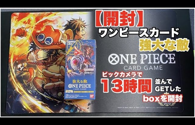 【開封】強大な敵！発売日にビックカメラに13時間並んで購入したBOXを開封