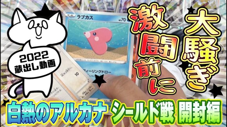 【ポケモンカード】戦いの準備が騒がしい家族【2022年蔵出し動画】