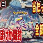 【ポケカ203日目】続々・ポケモンカードを購入制限分買って開封する。