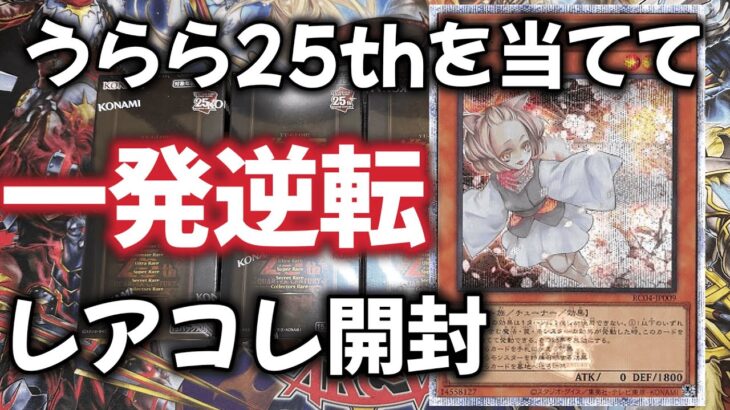 【遊戯王】うらら25thシクを当てるためにレアコレ1BOX開封！【レアリティコレクション　クォーターセンチュリーエディション】【レアコレ2023開封】