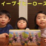 【ポケカ】ポケモンカード イーブイヒーローズ 2BOX 開封！