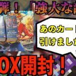 新弾！強大な敵を2BOX開封！噂のあのカードが登場！？【ワンピースカード】【開封動画】