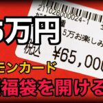 【ポケモンカード】65,000円⁉️高額ポケカ福袋を開封っっ‼️