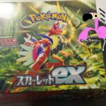 ポケモンカードスカーレットEX開封するぞ！