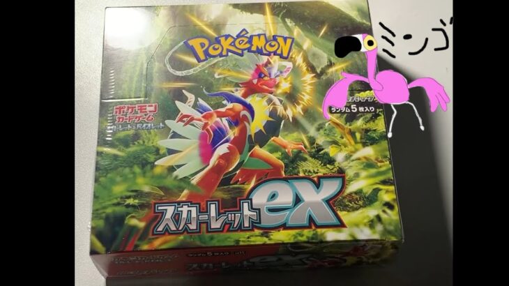 ポケモンカードスカーレットEX開封するぞ！