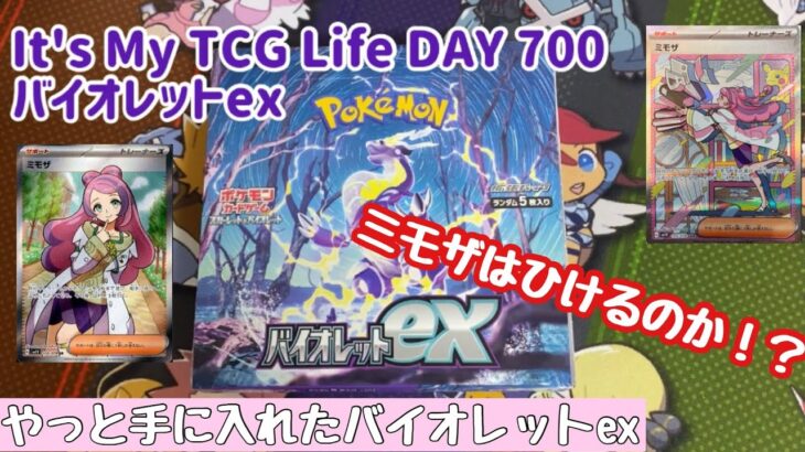 It’s My TCG Life DAY 700 ポケモンカード バイオレットex BOX開封