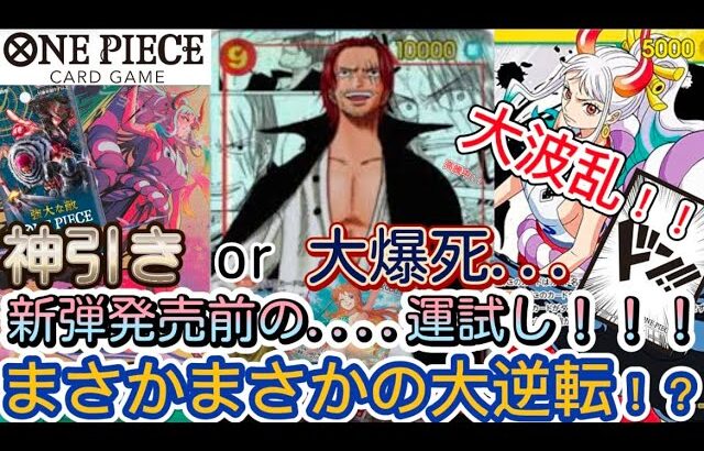 【ONE PIECE】新弾発売前に運試し！最後の最後に大逆転！？【衝撃結果…】