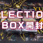 遊戯王　SELECTION5 開封