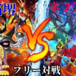 [#遊戯王]ついに四聖獣が終結!!”電脳堺”VS”ネフティス” フリー対戦vol.202 [#バズデュエル]