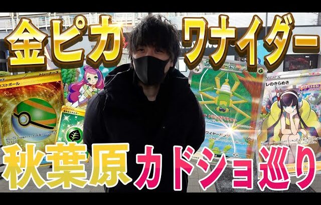 【ポケカ】秋葉原カドショ巡りで爆買い！！俺は金ピカのワナイダーexデッキを作るんじゃあああああああああああ！！