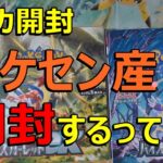 【ポケカ開封】新弾スカーレットex＆バイオレットex開封！#part2