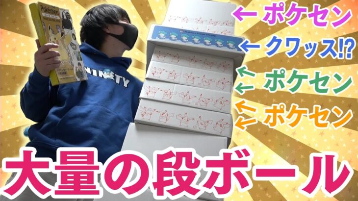 【ポケカ】ヤバすぎる量の段ボールがポケセンから届いてたので全部開封するぞぉおおおお！！【開封動画】