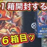 【ワンピースカード】今日も開封ッ🔥時代は白ひげ海賊団⁉️普通に神引きです