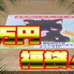 【ポケモンカード】３万円の福袋と家にあったバラパックを開封したら、衝撃の引きを連発した！！！