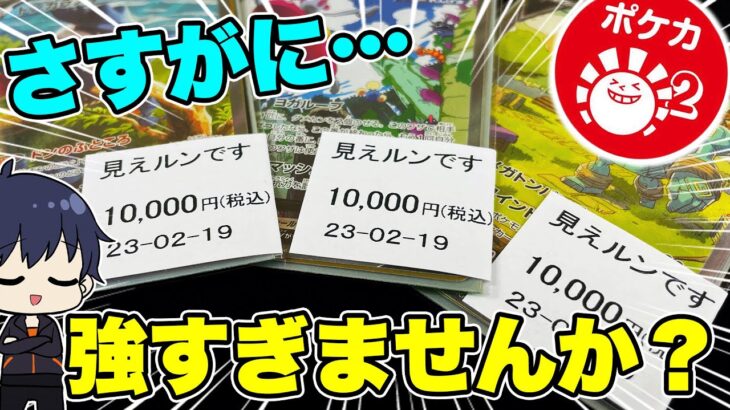 【ポケカ】ハレツーの高額「見えルンですオリパ」の開封結果がやばすぎた！絶対買ったほうがいいレベル！【ポケモンカード/オリパ開封】