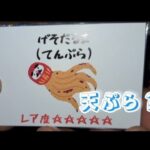 【遊戯王】だるまオリパさんのタチウオリパ1パック7000円開封します。