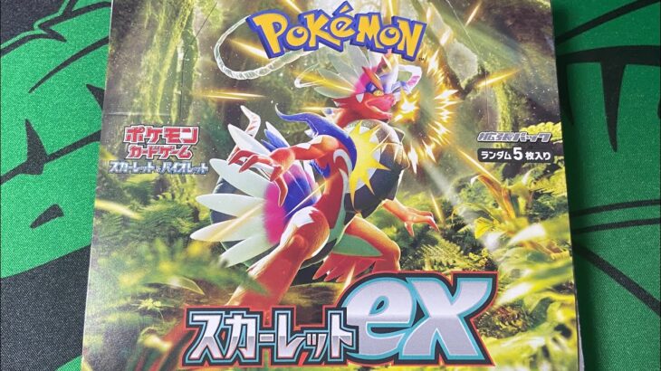 【ポケモンカード】スカーレット1BOX 開封！［ポケカ開封］