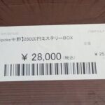【開封動画】28,000円のミステリーBOXに想定外のカード入ってた！【ポケカ】