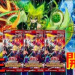 【遊戯王】ワイルド・サバイバーズ3box開封