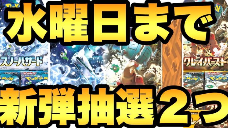 ナンジャモのジムセットも！水曜〆切の抽選を２つご紹介！4/14(金)発売のスノウハザード・クレイバースト【ポケカ情報】