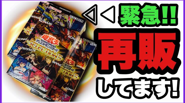 緊急！セレクション5 “再販してる！” 遊戯王 鬼畜封入ボックス 再チャレンジ！開封！@youruri-yugioh