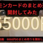 【ポケモンカード】55000円のまとめ売りを開封してみた