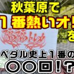 【秋葉原オリパ】どこのカドショが一番熱いオリパ出してんのか検証【BIGトレカ、福福トレカ、ポンポコ】