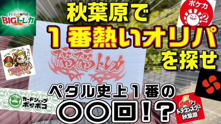 【秋葉原オリパ】どこのカドショが一番熱いオリパ出してんのか検証【BIGトレカ、福福トレカ、ポンポコ】